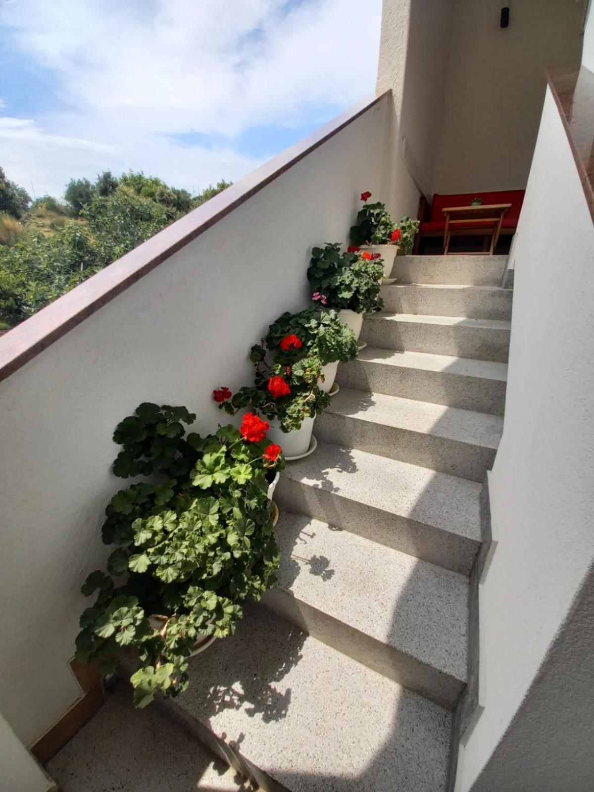 Apartments Vinse Near Rab Center Rab Town Zewnętrze zdjęcie
